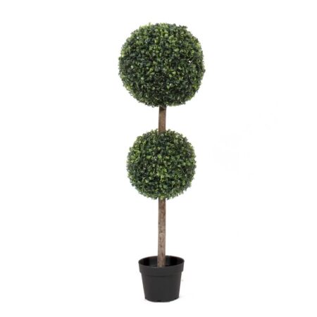 Boxwood Double ball tree 3FT (Sold in 2s)